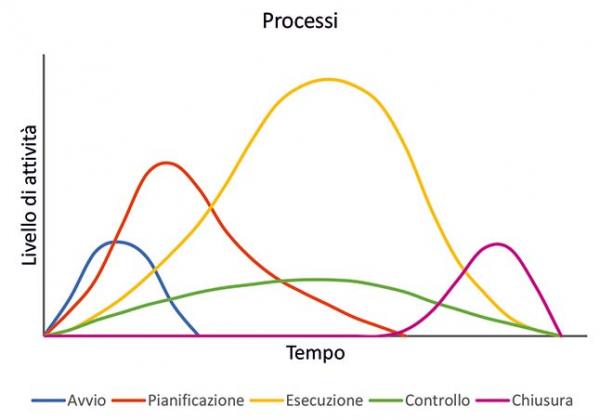 p2061 Art. Berra Ciocca fig. n. 2